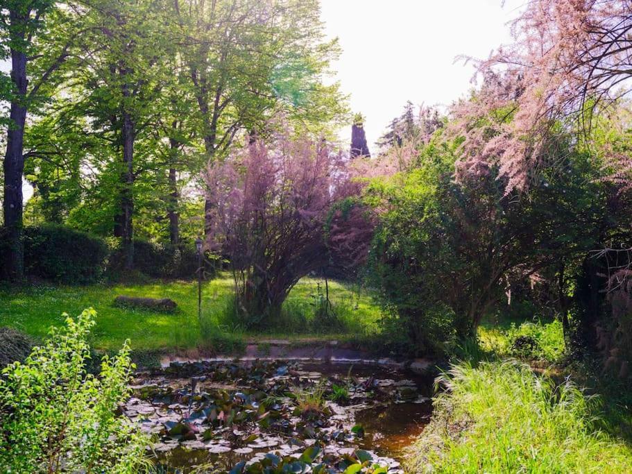 Villa Il Rossignolo Grassina Zewnętrze zdjęcie